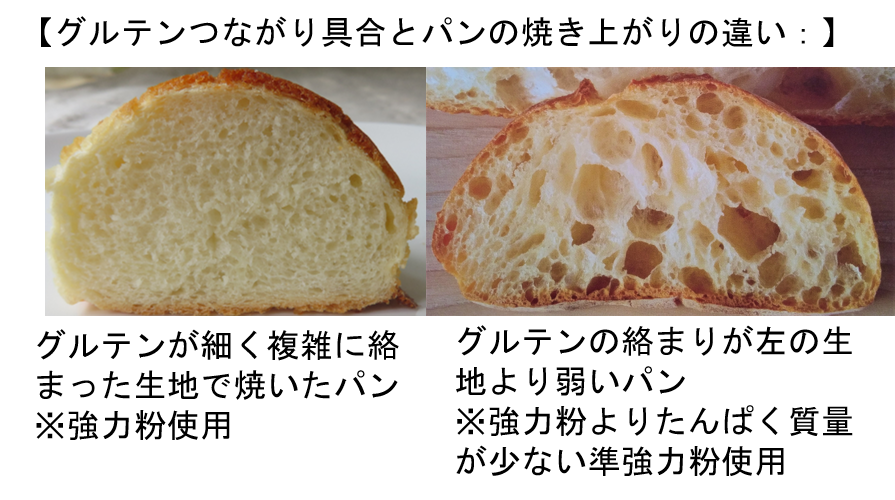 グルテンって何 パン作りとの関係は を分かりやすく図解 元パン屋のぱんぶろぐ